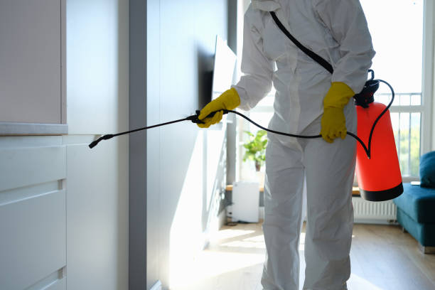 Best Mold Cleaning Services  in Haymarket, VA
