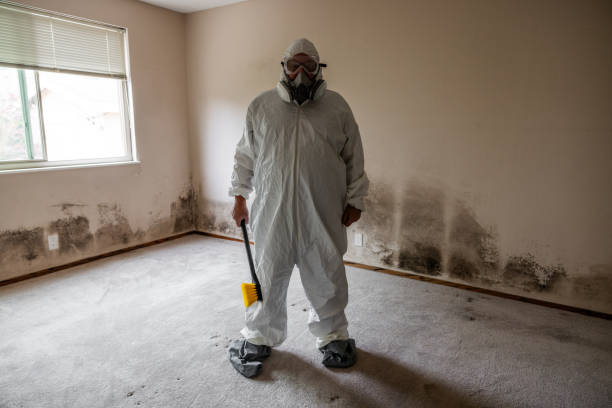 Best Mold Testing and Removal  in Haymarket, VA